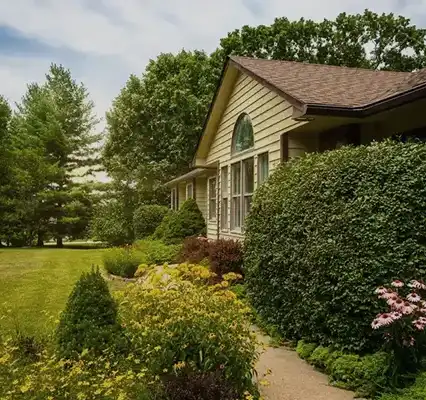 Professional Tree Maintenance